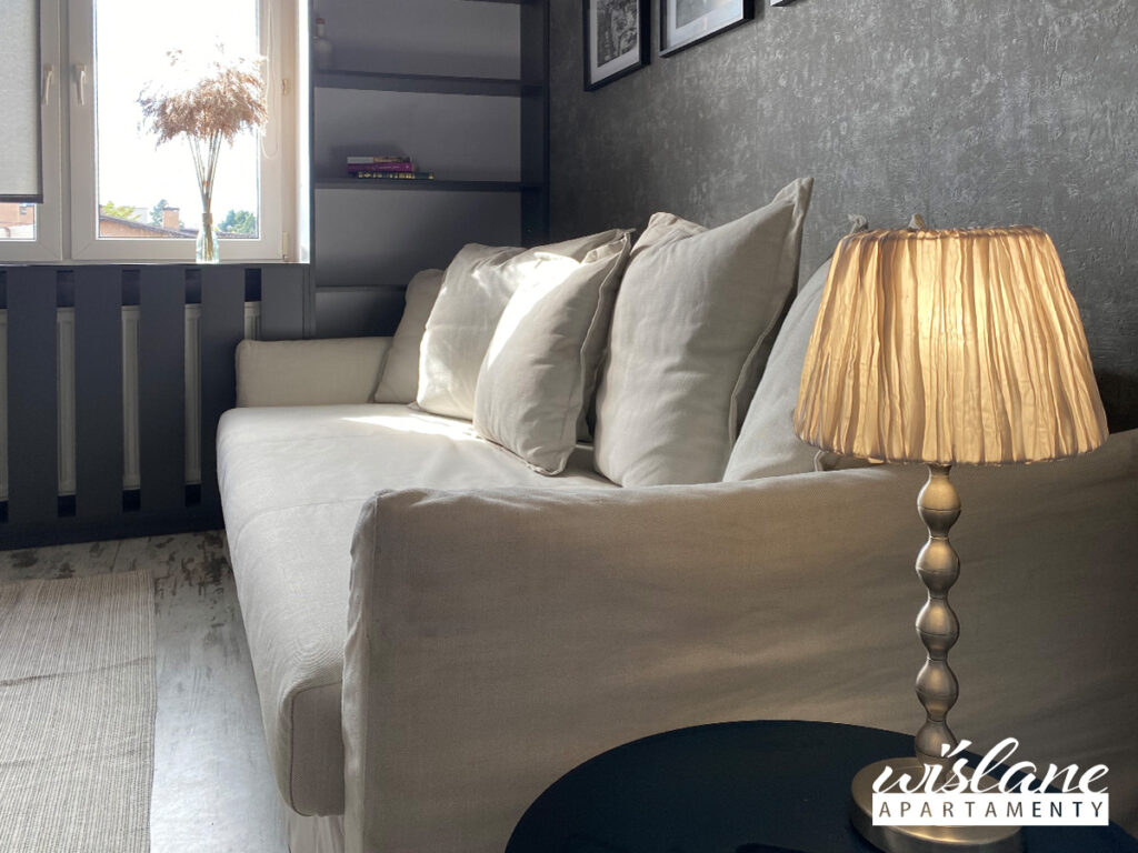Apartamenty Wiślane w Toruniu z widokiem na Wisłę. Przed Tobą zdjęcie jednego z mieszkań na wynajem. Sam zdecyduj - czy zostajesz na kilka dni czy długoterminowo. Wynajem apartamentów: całorocznie, bezpłatny parking i wiele innych udogodnień! Sprawdź!